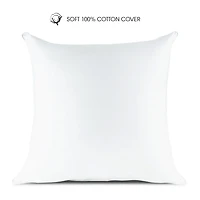 I Am Euro Pillow