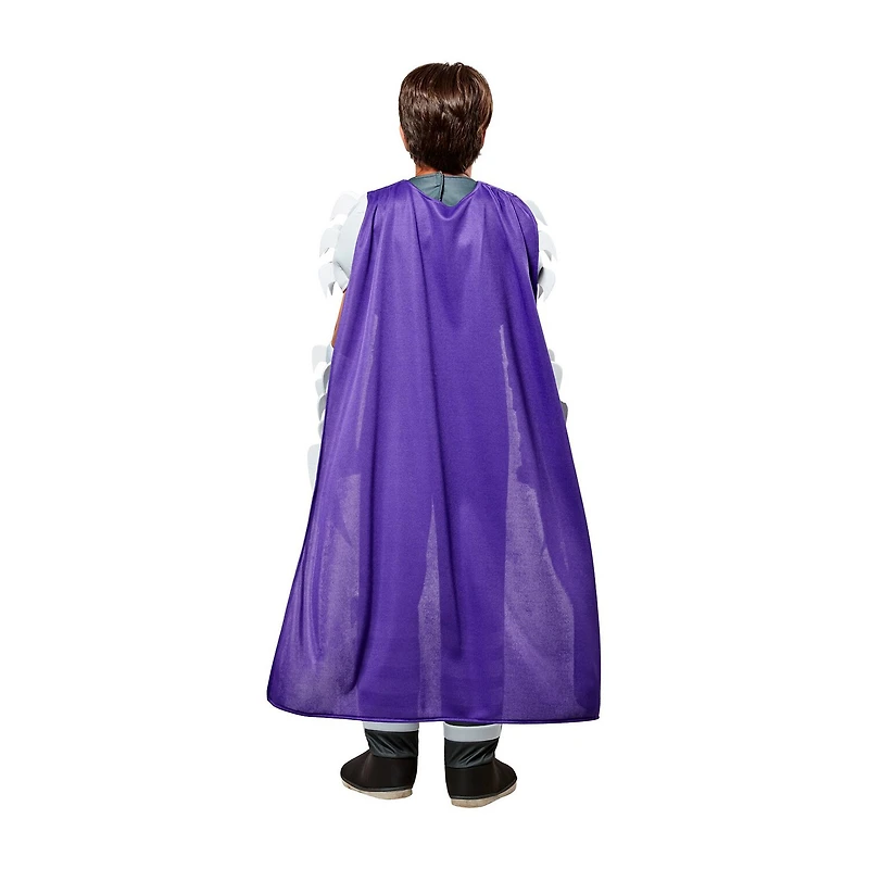 Little & Big Kid Boys Shredder Deluxe Teenage Mutant Ninja Turtles 6-pc. Costume
