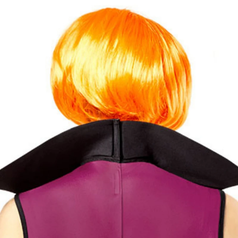 Womens The Jetsons Jane Wig Costume Accessory