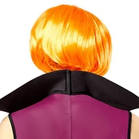 Womens The Jetsons Jane Wig Costume Accessory