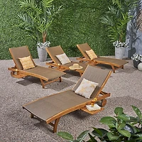 Banzai Adjustable 4-pc. Lounge Chair