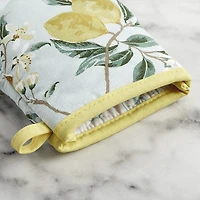 Martha Stewart Lemon Whimsy Mini 2-pc. Oven Mitt Set