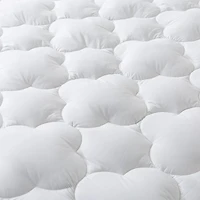 Royal Velvet European White Down Mattress Pad