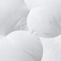Royal Velvet European White Down Mattress Pad