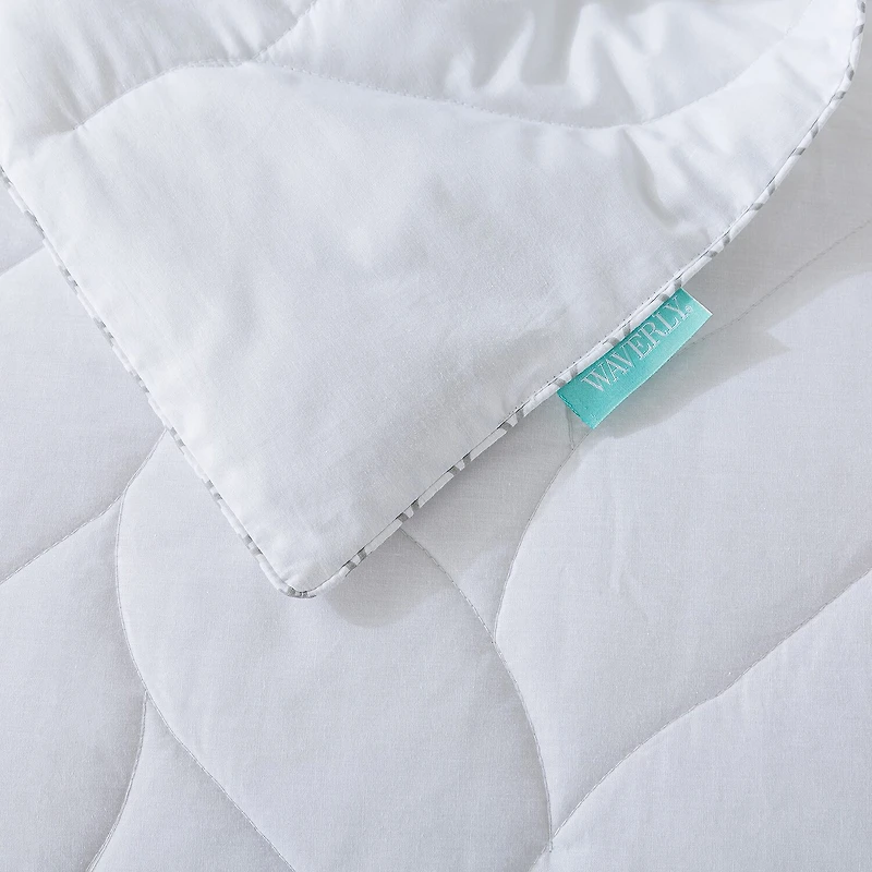 Waverly Antimicrobial Cotton White Duck Down Blanket