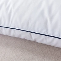 Royal Velvet White European Down And Nano Feather Pillow