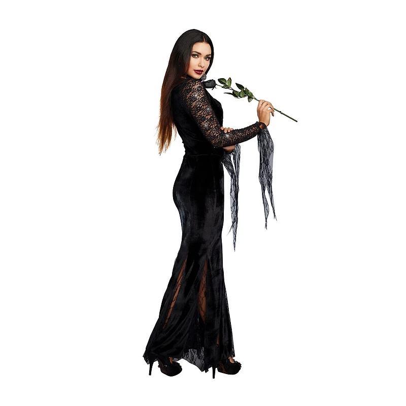 Womens Morticia Costume