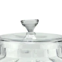 11'' Clear Transparent Segmented Glass Container with Lid