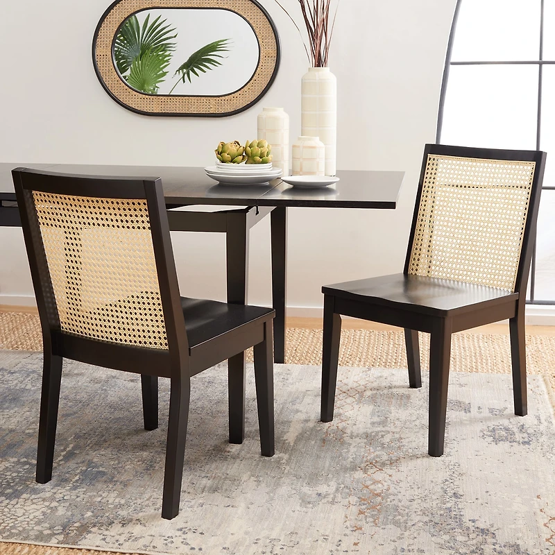 Safavieh Levy 2-pc. Dining Chair