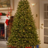 National Tree Co. Downswept Douglas Fir Hinged 7 1/2 Foot Pre-Lit Fir Christmas Tree