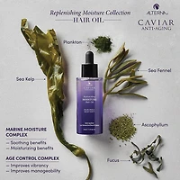 ALTERNA Caviar Moisture Hair Oil 1.7 oz.