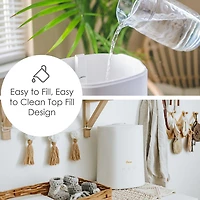 Crane 2-In-1 1.2 Gallon Ultrasonic Cool Mist Humidifier & Aroma Diffuser