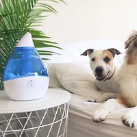 Crane Droplet 0.5 Gallon Ultrasonic Cool Mist Humidifier