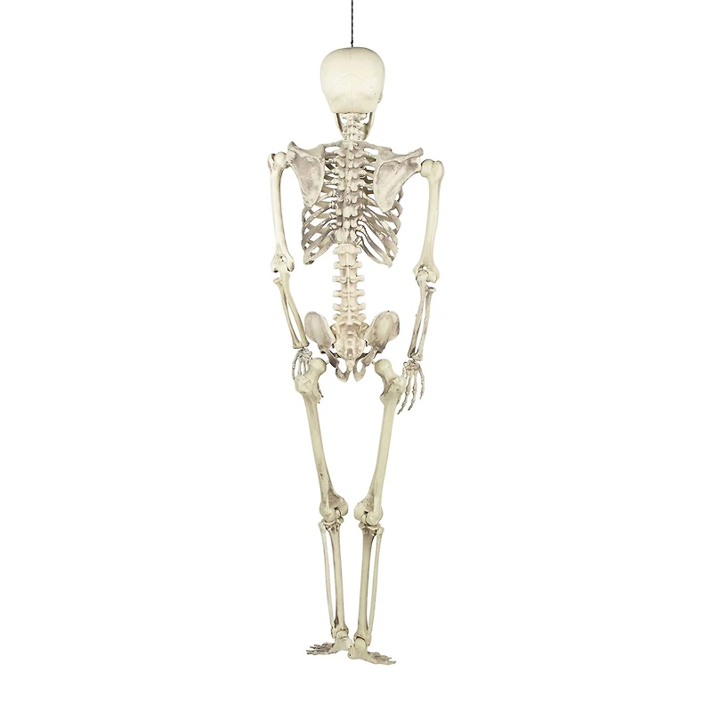 Northlight 5' Life Size Skeleton Halloween Yard Art