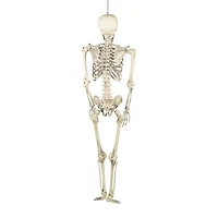Northlight 5' Life Size Skeleton Halloween Yard Art