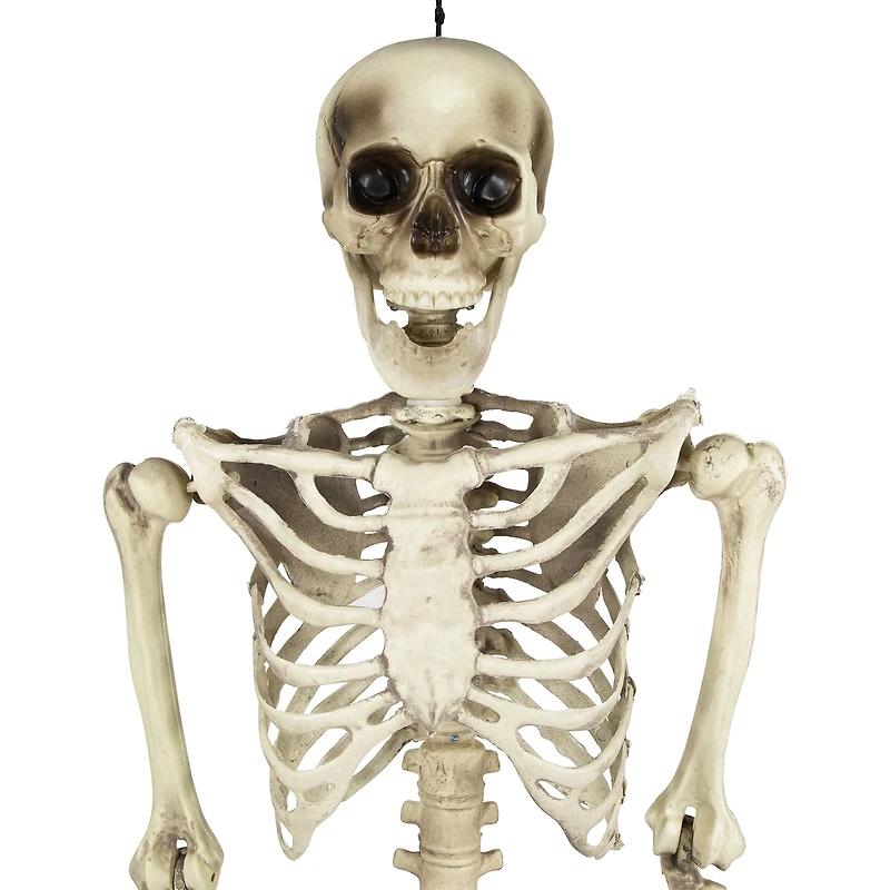 Northlight 5' Life Size Skeleton Halloween Yard Art