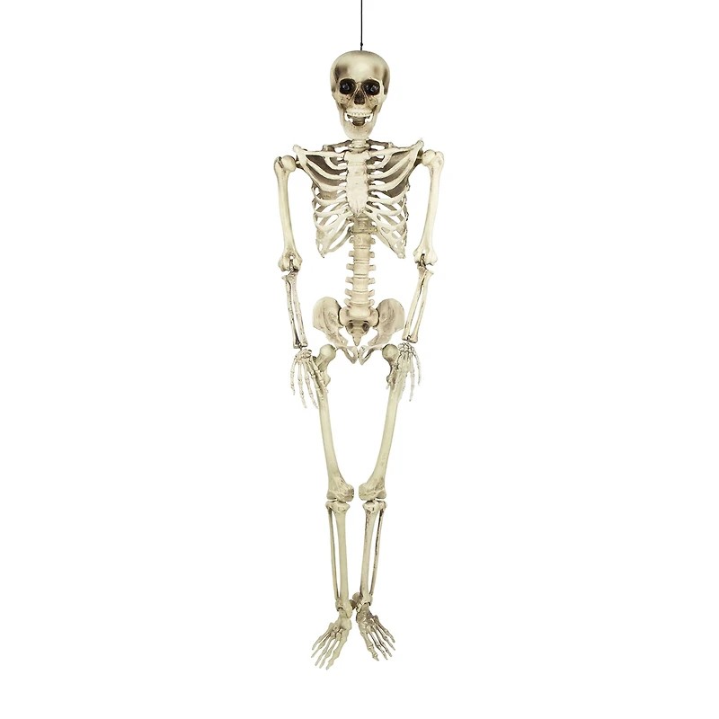 Northlight 5' Life Size Skeleton Halloween Yard Art
