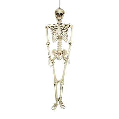 Northlight 5' Life Size Skeleton Halloween Yard Art