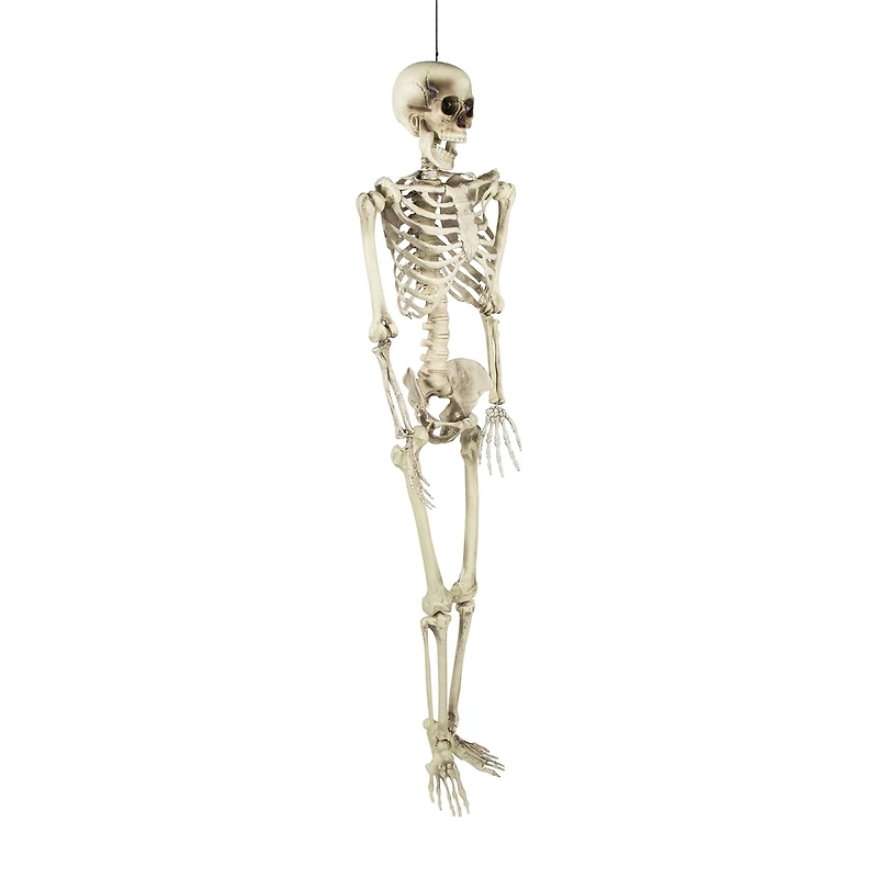 Northlight 5' Life Size Skeleton Halloween Yard Art