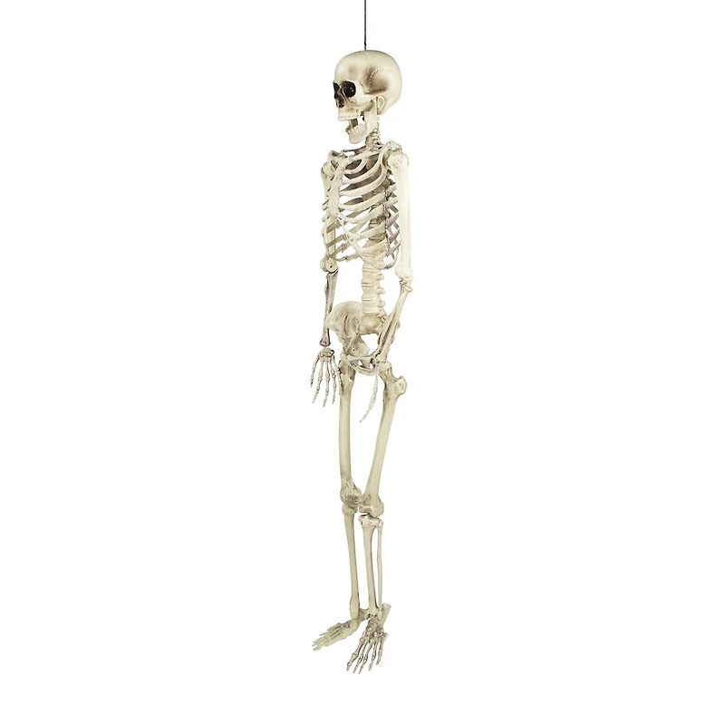 Northlight 5' Life Size Skeleton Halloween Yard Art