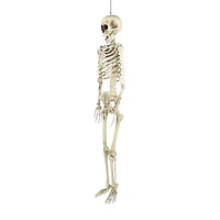 Northlight 5' Life Size Skeleton Halloween Yard Art