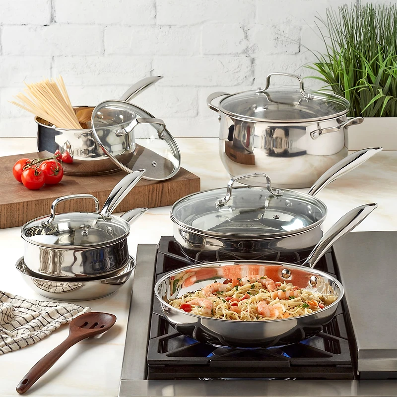 Denmark Stainless Steel 10-pc. Cookware Set