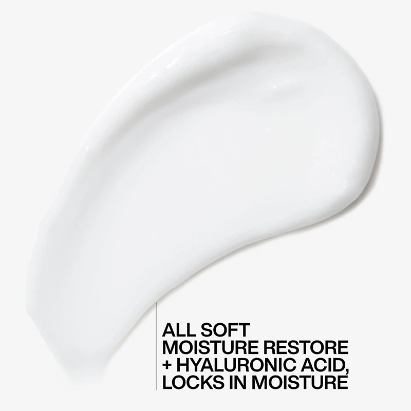 Redken Moisture Restore Leave In Hair Treatment 5.1 oz.