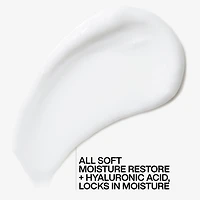 Redken Moisture Restore Leave In Hair Treatment 5.1 oz.