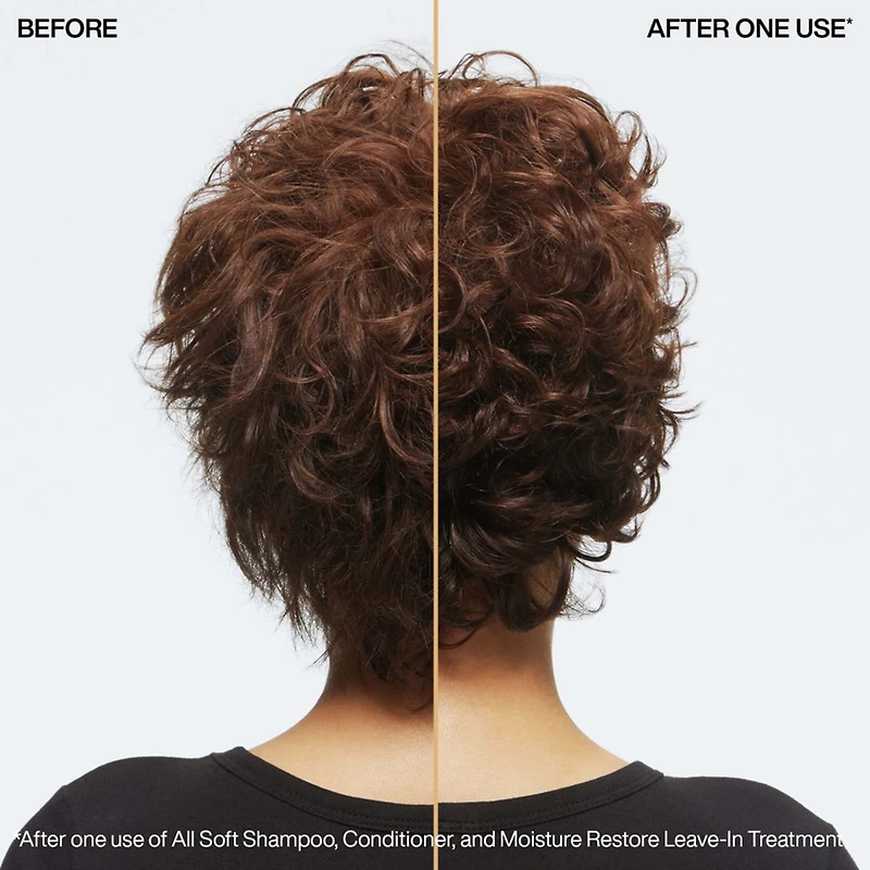 Redken Moisture Restore Leave In Hair Treatment 5.1 oz.
