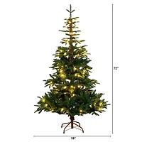 Nearly Natural Pre-Lit Artificial Idaho Mixed Fir 130 Warm White Led Lights 6 Foot Pre-Lit Fir Christmas Tree