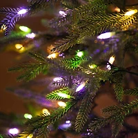 Nearly Natural Pre-Lit Artificial Natural Fresh Cut Fir With Instant Connect Technology And 230 Color Changing Led Dewdrop Lights 6 Foot Pre-Lit Fir Christmas Tree