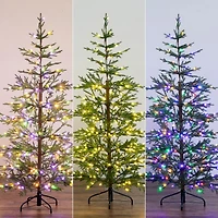 Nearly Natural Pre-Lit Artificial Natural Fresh Cut Fir With Instant Connect Technology And 230 Color Changing Led Dewdrop Lights 6 Foot Pre-Lit Fir Christmas Tree