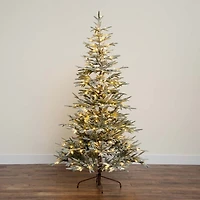 Nearly Natural Pre-Lit Artificial Flocked Woodland Fir  With 200 Warm White Led Lights 7 Foot Pre-Lit Flocked Fir Christmas Tree