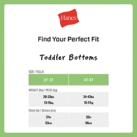 Hanes Potty Trainer Toddler Girls 6 Pack Briefs Tguptb