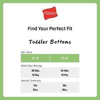Hanes Toddler Girls 10 Pack Briefs Tucbrf