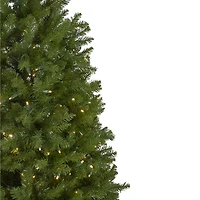 Northlight Northern Pine 9 Foot Pre-Lit Pine Christmas Tree