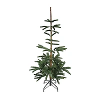 Northlight Slim Layered Nordmann Fir 6 1/2 Foot Fir Christmas Tree