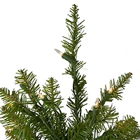 Northlight Full Northern 4 Foot Pre-Lit Pine Christmas Tree