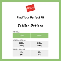 Hanes Potty Trainer Toddler Boys 6 Pack Boxer Briefs Tublbb