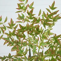Nearly Natural 5ft Autumn Nandina Indoor Artificial Tree