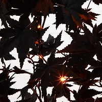 Nearly Natural 4ft Pre-Lit Black Maple Lighted Indoor Artificial Tree