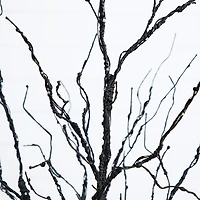 Nearly Natural 4ft Pre-Lit Halloween Twig Lighted Indoor Artificial Tree