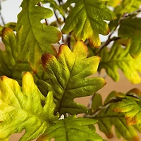 Nearly Natural 4ft Pre-Lit Green Autumn Oak Lighted Indoor Artificial Tree