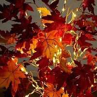 Nearly Natural 5ft Pre-Lit Autumn Weeping Maple Lighted Indoor Artificial Tree