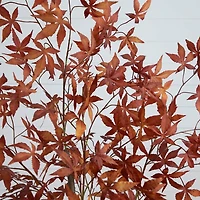 Nearly Natural 5ft Autumn Maple Indoor Artificial Tree