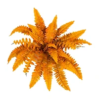Nearly Natural 6-pc. Artificial Plant