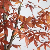 Nearly Natural 7ft Japanese Maple Fall Indoor Artificial Tree