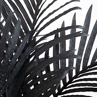 Nearly Natural 4ft Black Golden Cane Indoor Artificial Tree