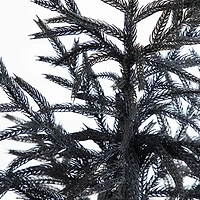 Nearly Natural 4ft Halloween Black Pine Christmas Indoor Artificial Tree