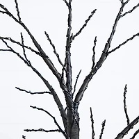 Nearly Natural 6ft Pre-Lit Halloween Twig Lighted Indoor Artificial Tree